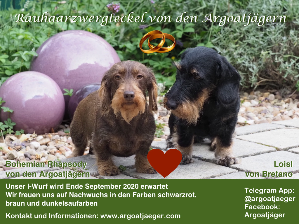 IWurfankuendigung